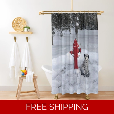 Le Studio Shower Curtain A Rush Signals Statue Winter 2019